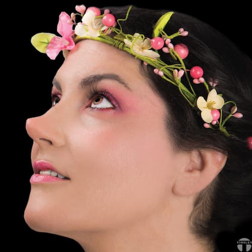 Buy Pixie nose - Black Label Latex for only $9.49 byTinsley Transfers