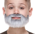 Short Boxed Fake Mustache & Beard for Kids Gray & White
