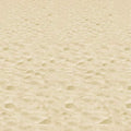 Buy Beistle Party Decoration Accessory Beach Backdrop Insta Theme 4' X 30' for only $24.99 by Beistle