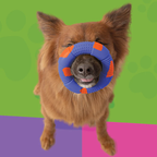 Buy Dur Dog Toys - Medium Ring in Blue & Orange - Created From Recycled Balloons for only $24.99 by Sempertex Balloons