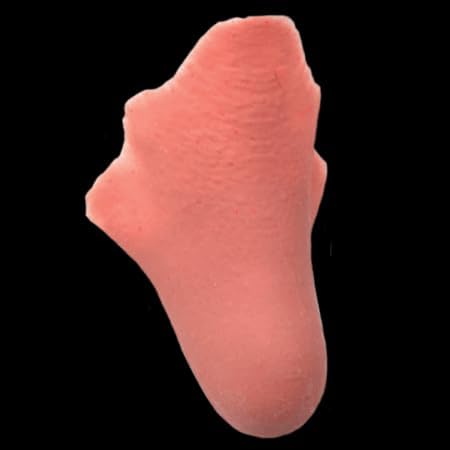 Buy Pinocchio Nose - Black Label Latex for only $14.99 by Tinsley Transfers