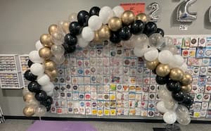 Buy Sempertex 11" Reflex Gold Latex Balloons (50 count) for only $24.99 by Sempertex Balloons