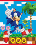Buy Sonic The Hedgehog Loot Favor Bags (8 count) for only $4.09 by Unique