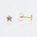 Buy Studex Crystal Daisy Stud Earrings Gold Plated for only $16.99 by Studex