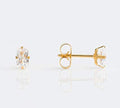 Buy Studex Sensitive Cubic Zirconia Stud Earrings 5x3mm Gold Plated for only $14.99 byStudex
