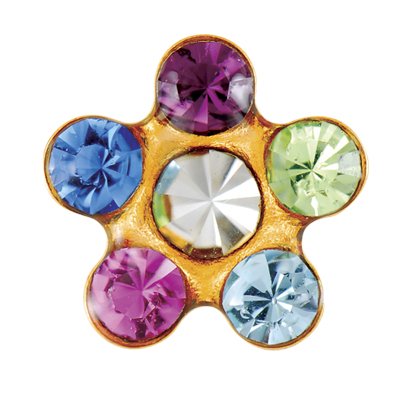 Buy Studex Sensitive Gold Plated Daisy"Rainbow" for only $14.99 byStudex