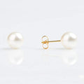 Buy Studex Sensitive White Pearl Stud Earrings 8mm Gold Plated  for only $14.99 byStudex