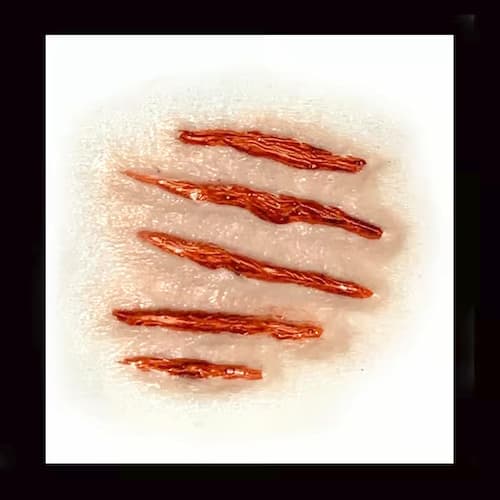 Buy Tinsley Transfers Attacked – 3D FX Transfers for only $14.99 by Tinsley Transfers