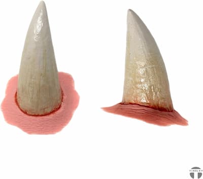 Buy Tinsley Transfers Large Devil Horns – Black Label Latex for only $11.88 byTinsley Transfers
