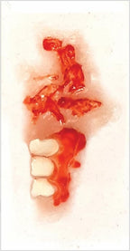 Buy Tinsley Transfers Medium Glam Gore 3D FX Transfer Kit - Lip Rot
