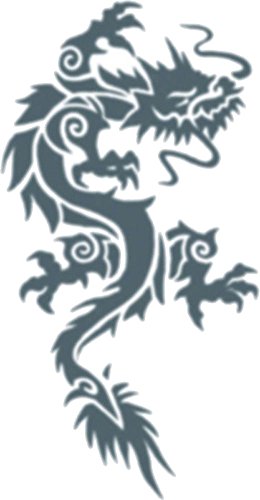 Buy Tinsley Transfers Tattoo Tribal Dragon for only $6.64 byTinsley Transfers