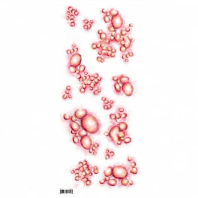 Buy Diseased – Trauma FX Tattoos for only $7.59 byTinsley Transfers