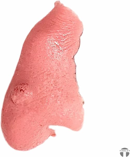 Buy Witch Nose - Black Label Latex for only $14.99 by Tinsley Transfers