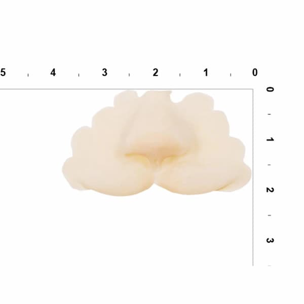 Buy Woochie Cat Nose - Small for only $14.99 by Woochie